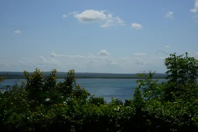 DSC_9099 (Large).JPG